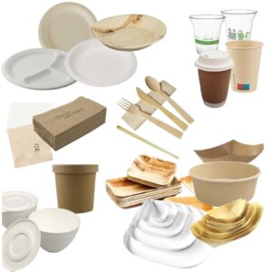 Disposibles Eco-friendly