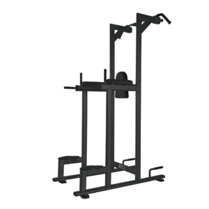 Toorx WBX-2800 Pull-up, Dip and Leg Raise Machine